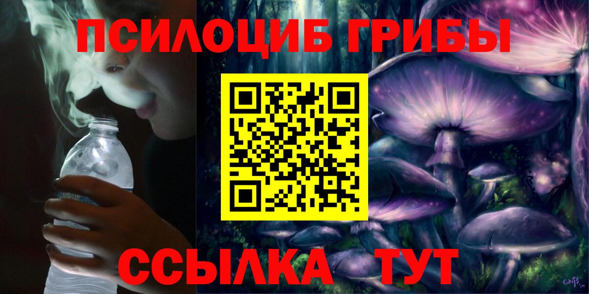 Псилоцибиновые грибы мухоморы  где купить наркотик  Нерюнгри  Галлюциногенные грибы прущие грибы  Вход с VPN 